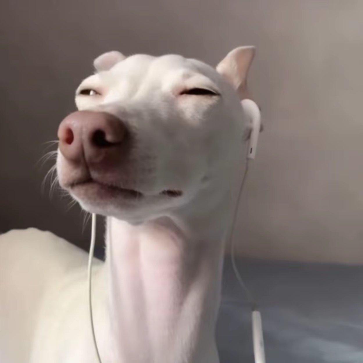 如果某天我变得平静