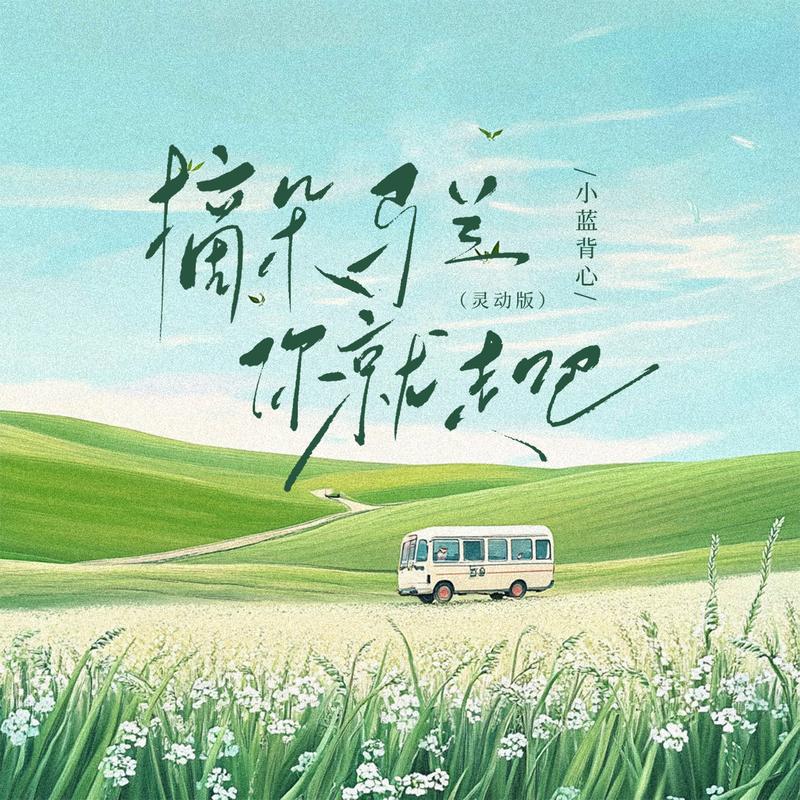 摘朵马兰你就走吧 (灵动版)封面