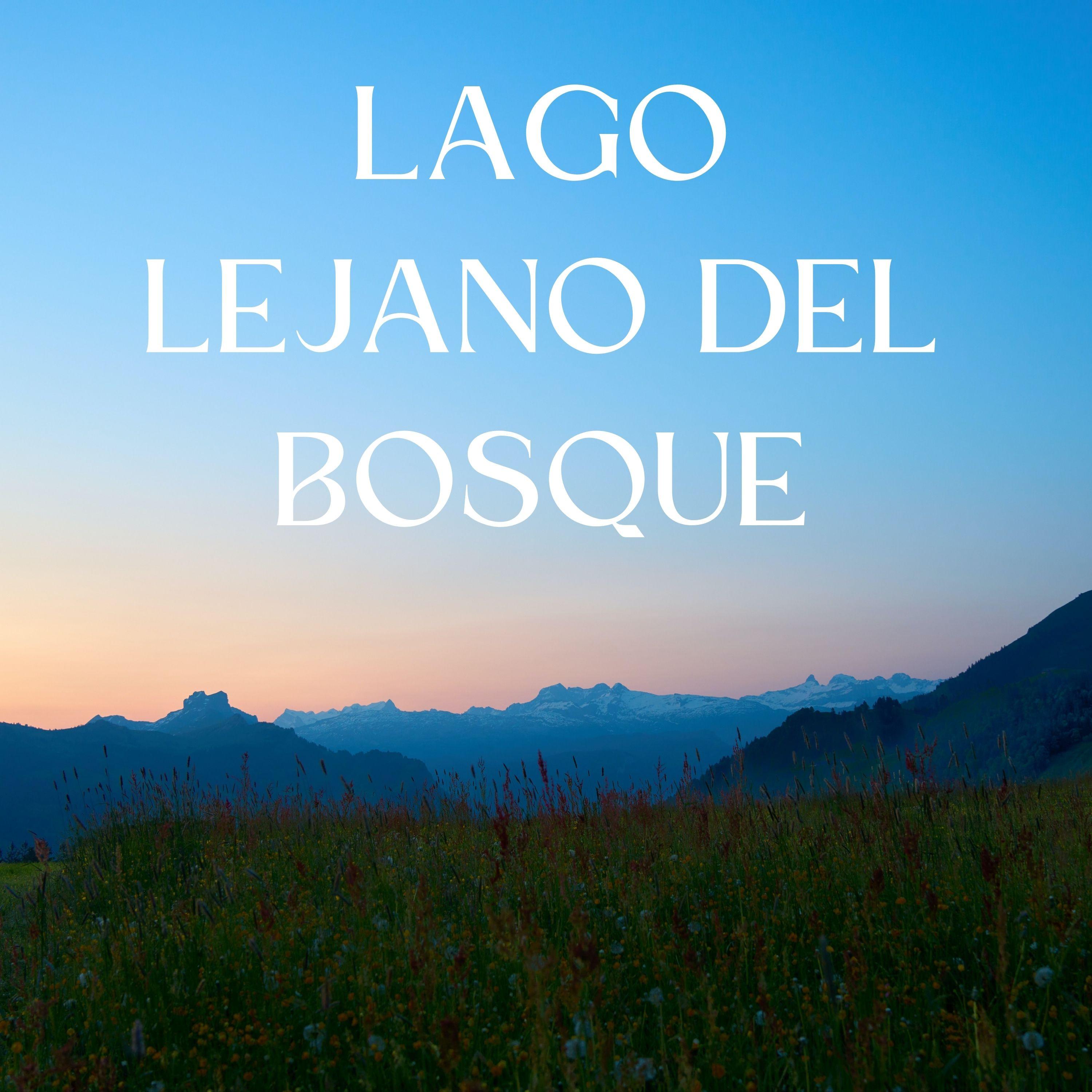 Canales Incoloros_Sonidos del Río_Lago Lejano Del Bosque | 在线播放_Canales Incoloros歌词_Canales Incoloros下载 | 网易云音乐