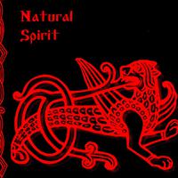 Natural Spirit资料,Natural Spirit最新歌曲,Natural SpiritMV视频,Natural Spirit音乐专辑,Natural Spirit好听的歌