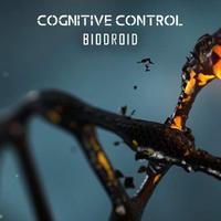 Cognitive Control