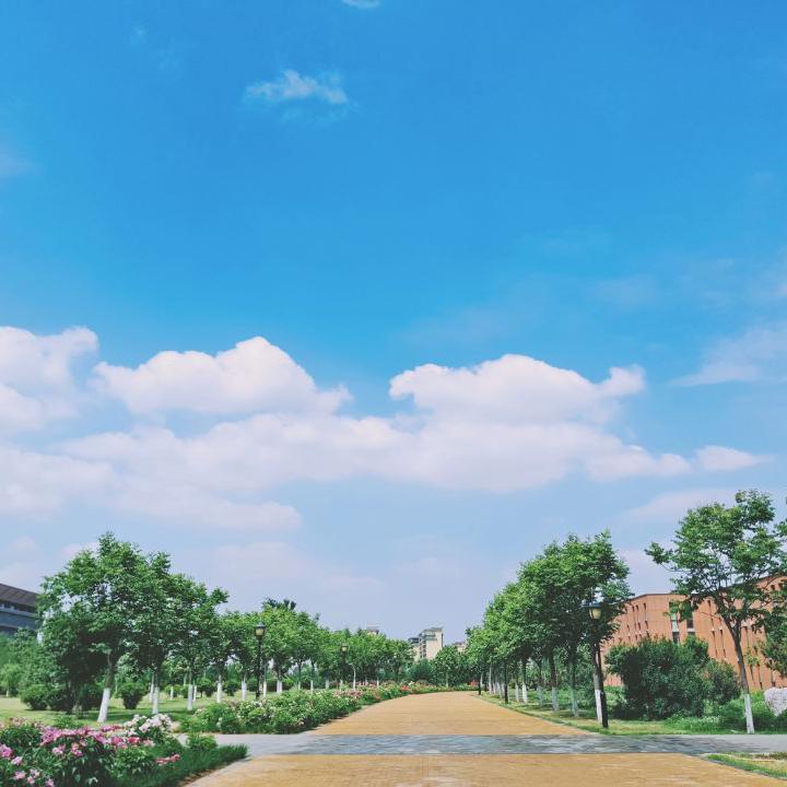 手牵手走过的青春 伴奏 - 陈哲封面