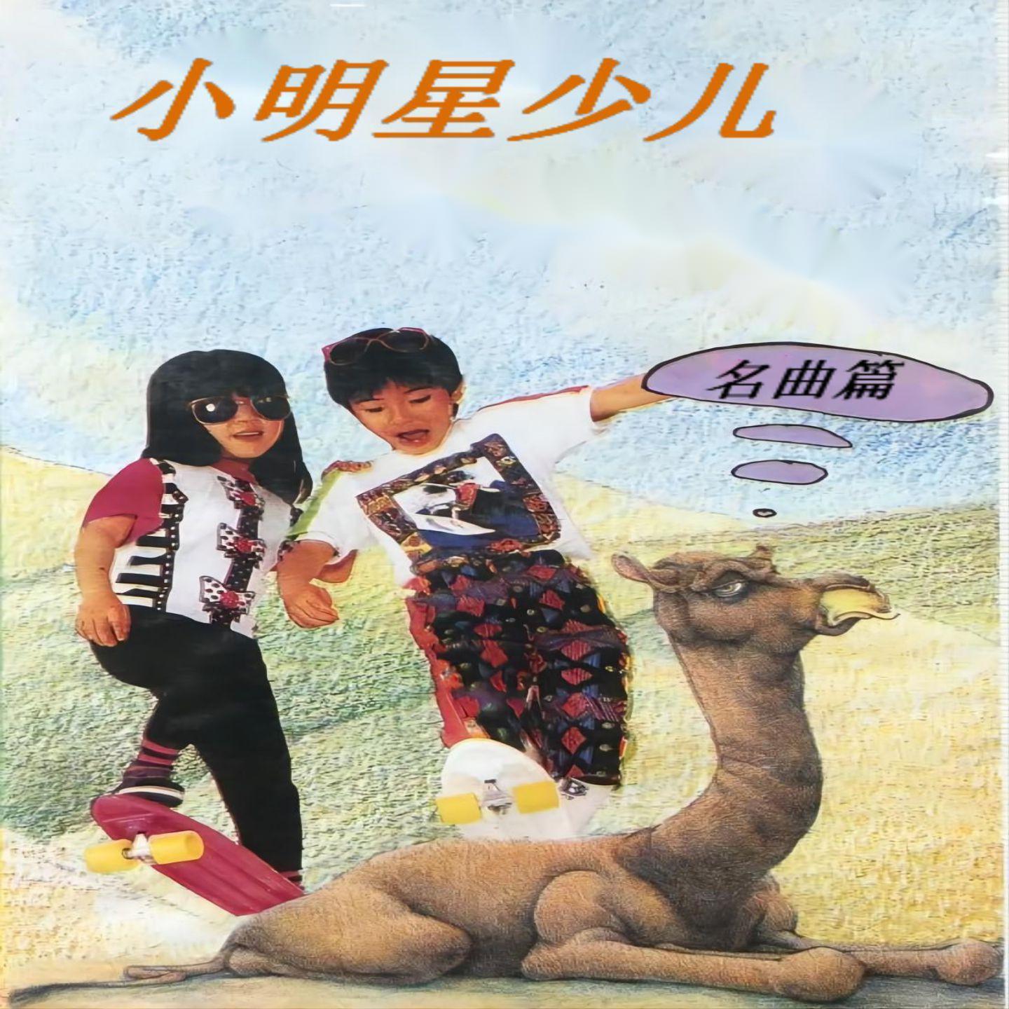 踏雪寻梅封面