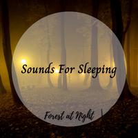 Forest At Night: Sounds For Sleeping Vol. 2