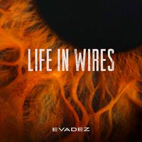 Life in Wires