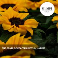 The State of Peacefulness in Nature