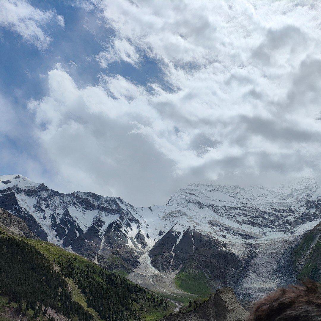 生活的温柔总会哒哒哒地跑