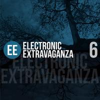 Electronic Extravaganza, Vol. 6