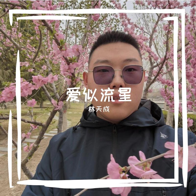 爱似流星 - 林天成封面