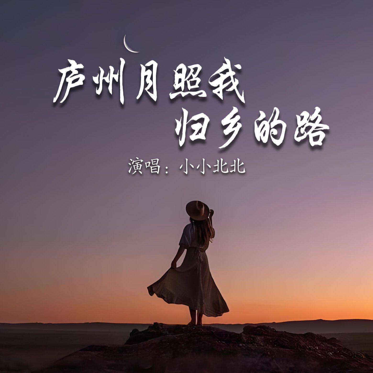 庐州月照我归乡的路封面