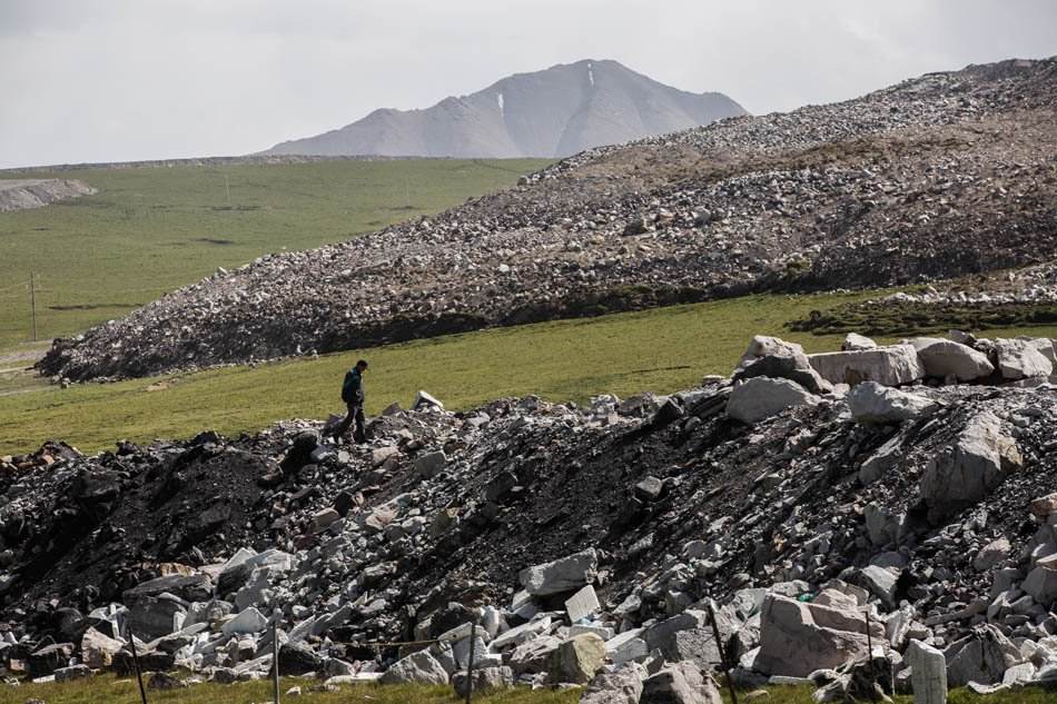 别让美丽大草原真成了记忆!战旗乐队新单曲带
