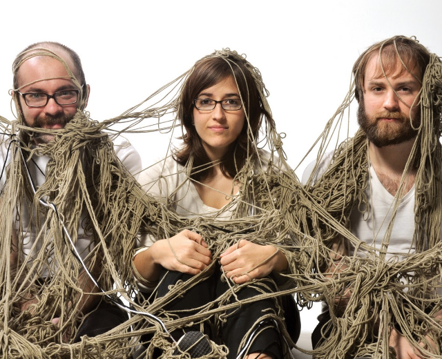 the seedy seeds