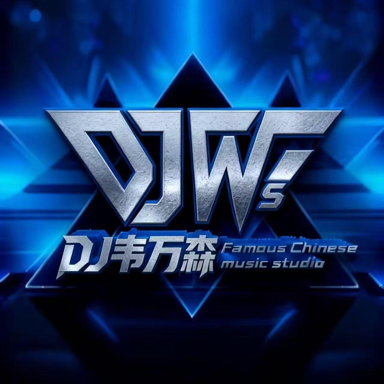 泡面月光 - Dj韦万森封面