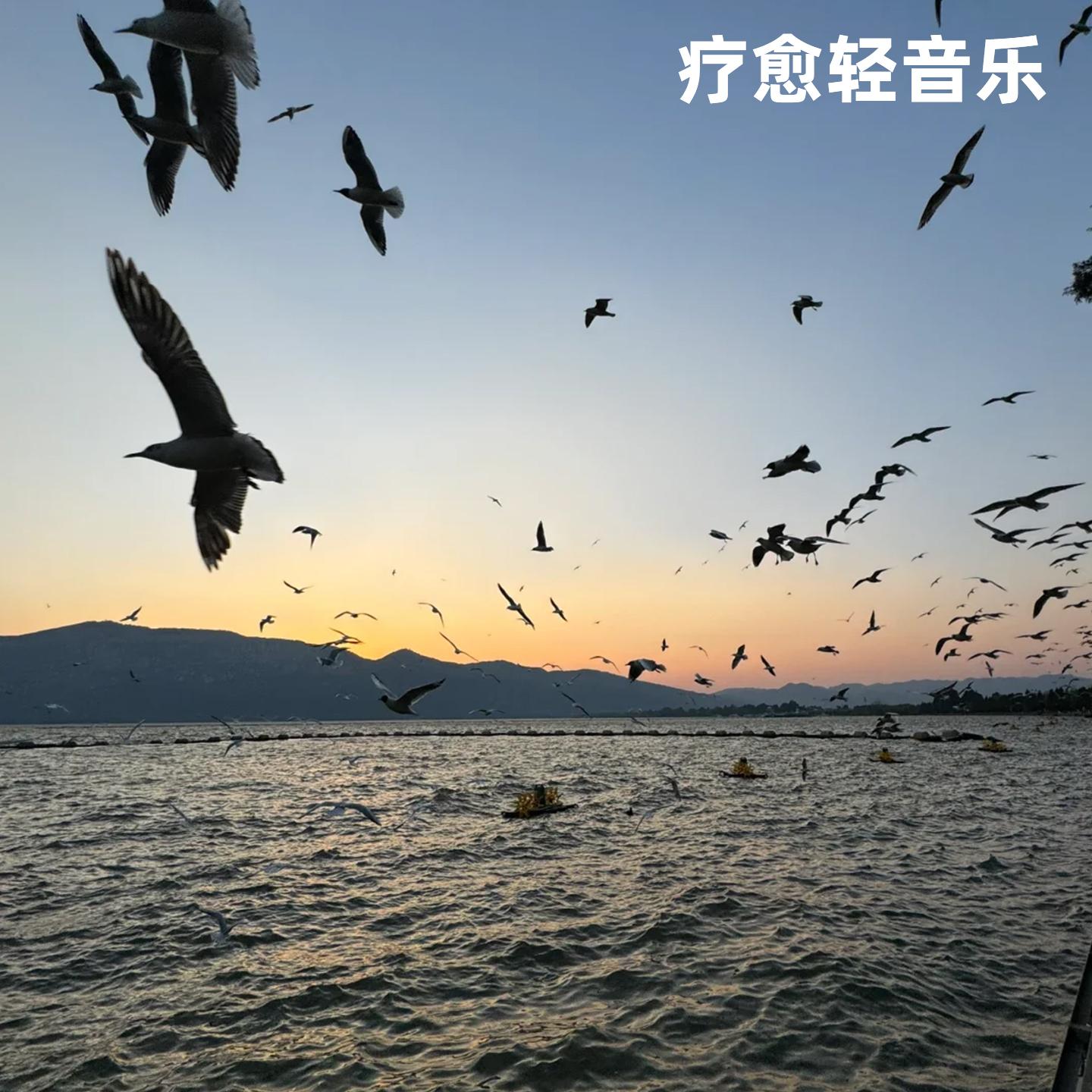 城市夜景纯音乐・摩天轮的转动封面