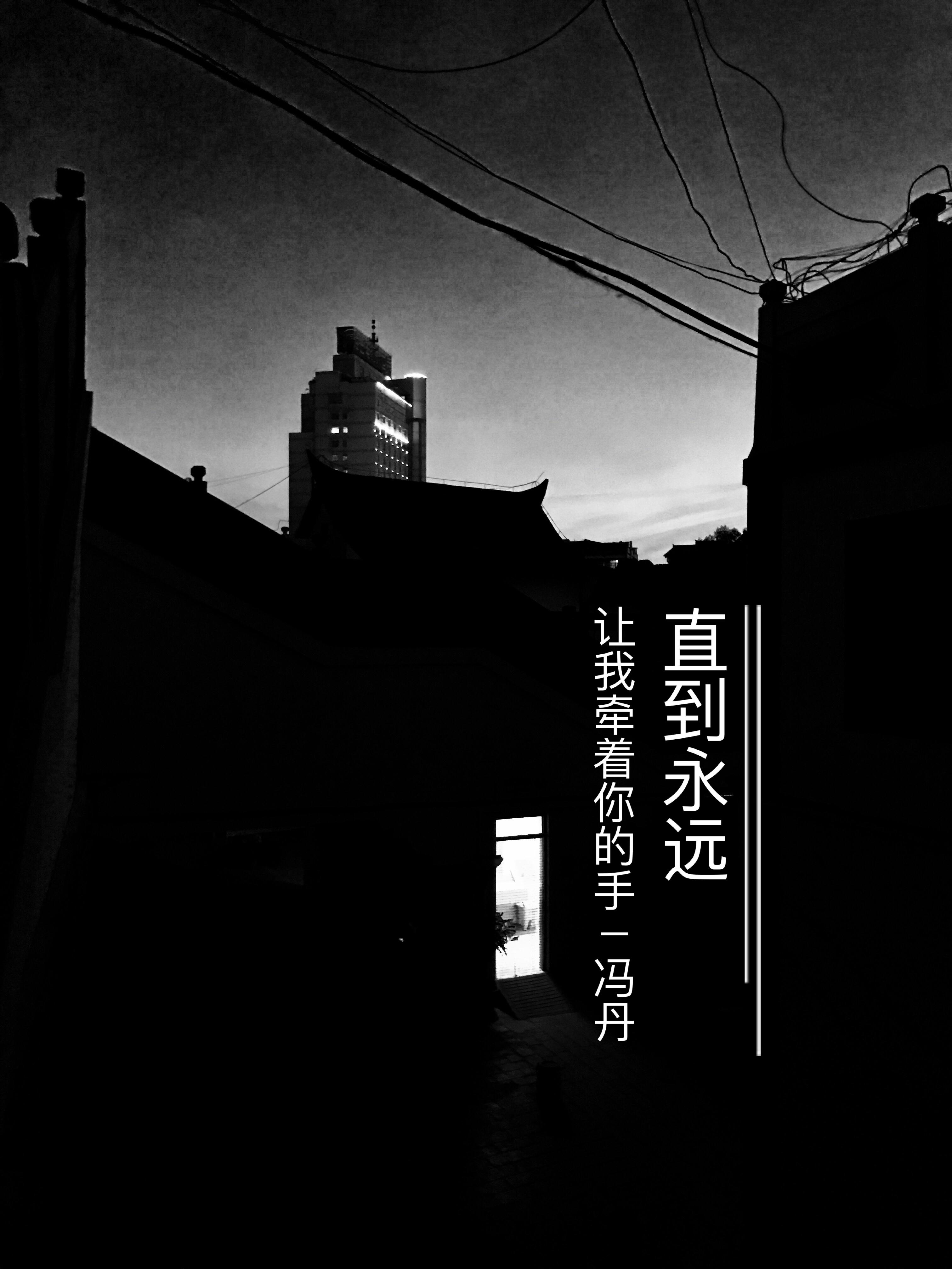 直到永远封面