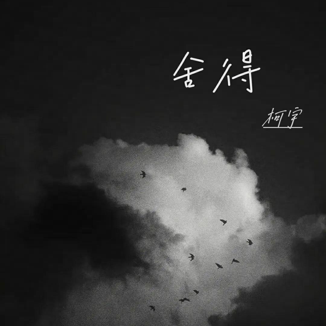 舍得封面