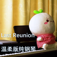 Last Reunion纯钢琴