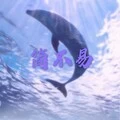 可不可以 (DJ版)封面