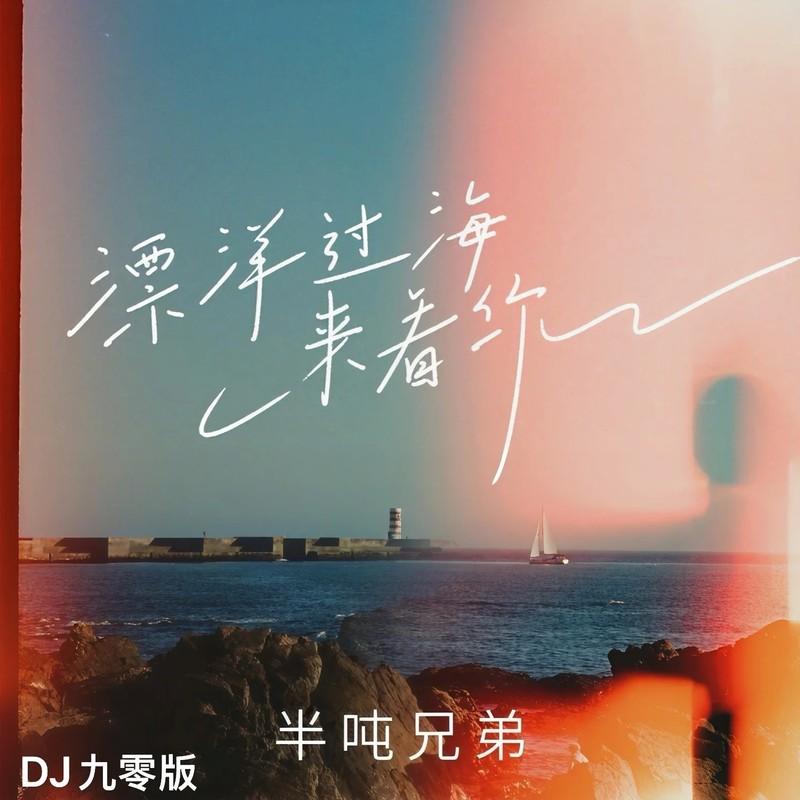 漂洋过海来看你(DJ版)封面