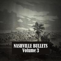 Nashville Bullets, Vol. 3