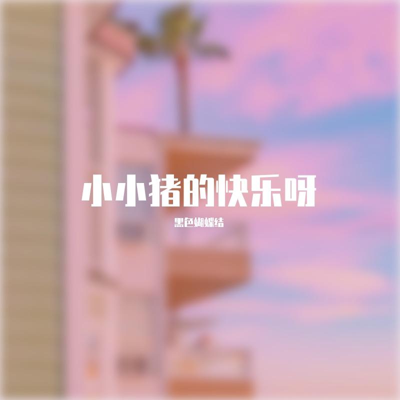 南方姑娘封面