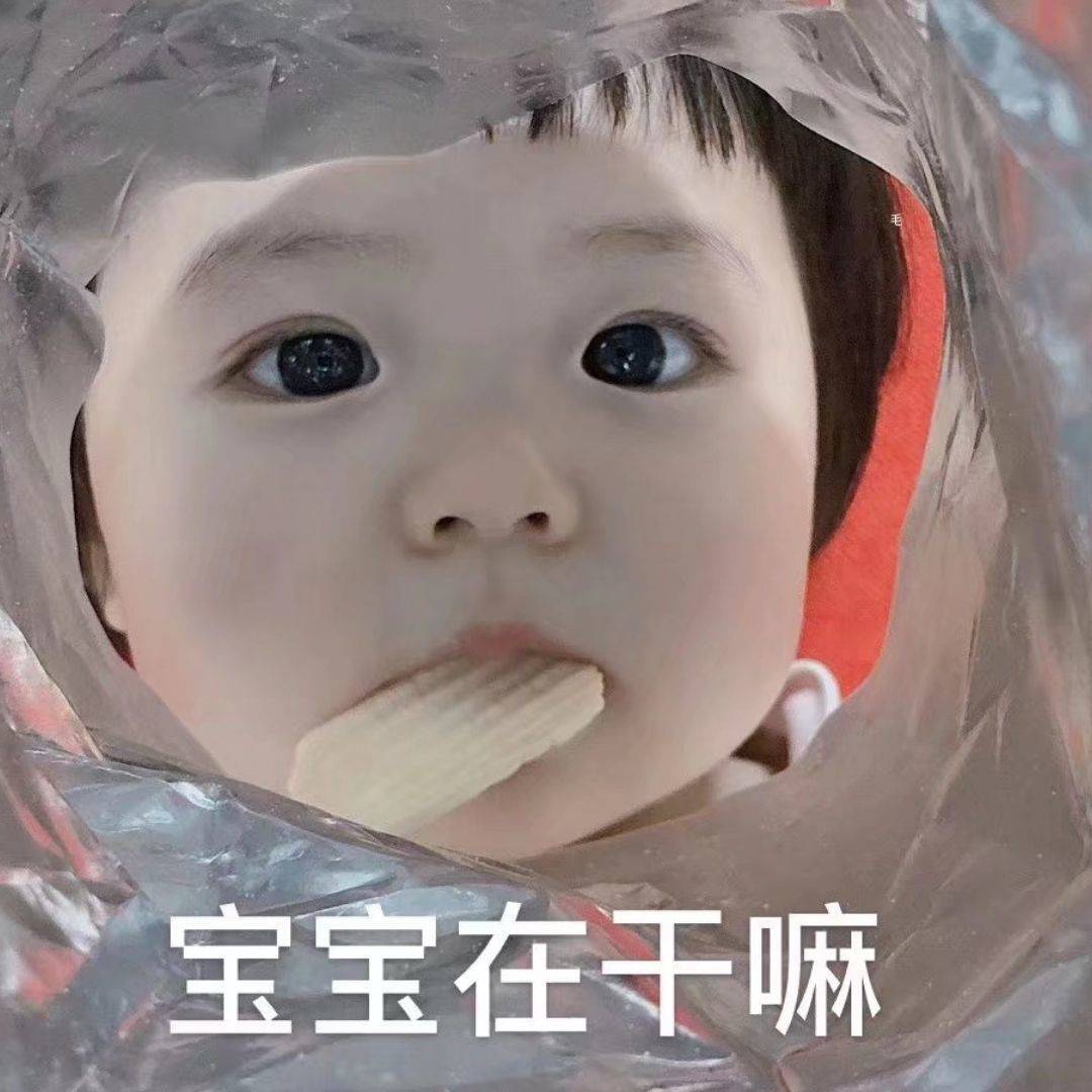 撒浪嘿呦封面