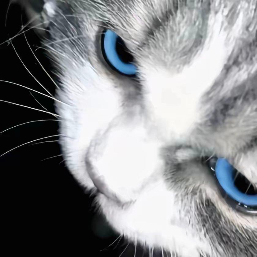 呼吸是有形状的