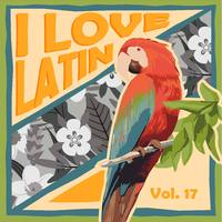 I Love Latin, Vol. 17