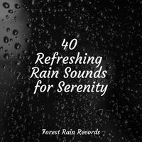 40 Refreshing Rain Sounds for Serenity