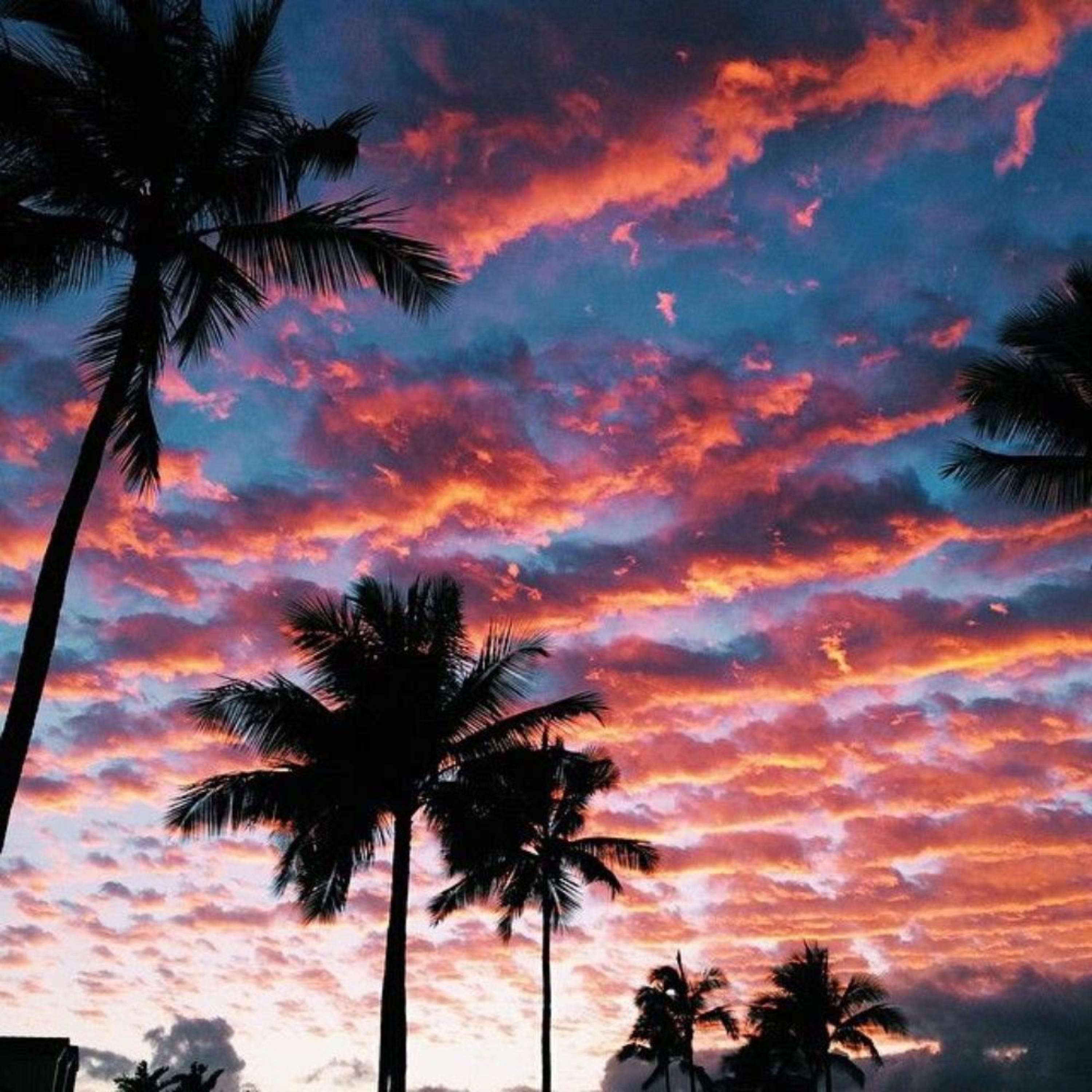 Hey Look Ma, I Made It