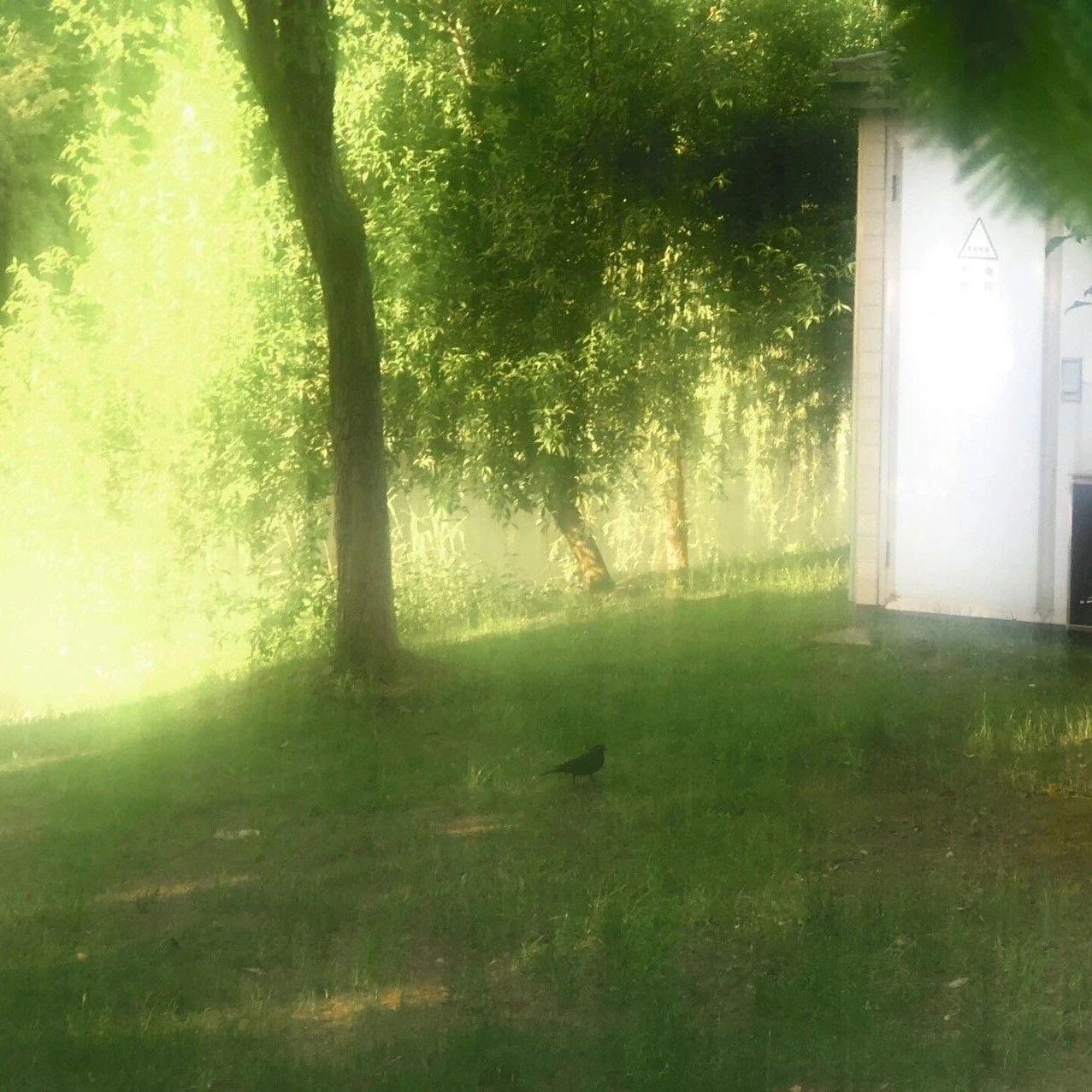 Want u to know Ft.被迫博爱(Prod.Curiez)