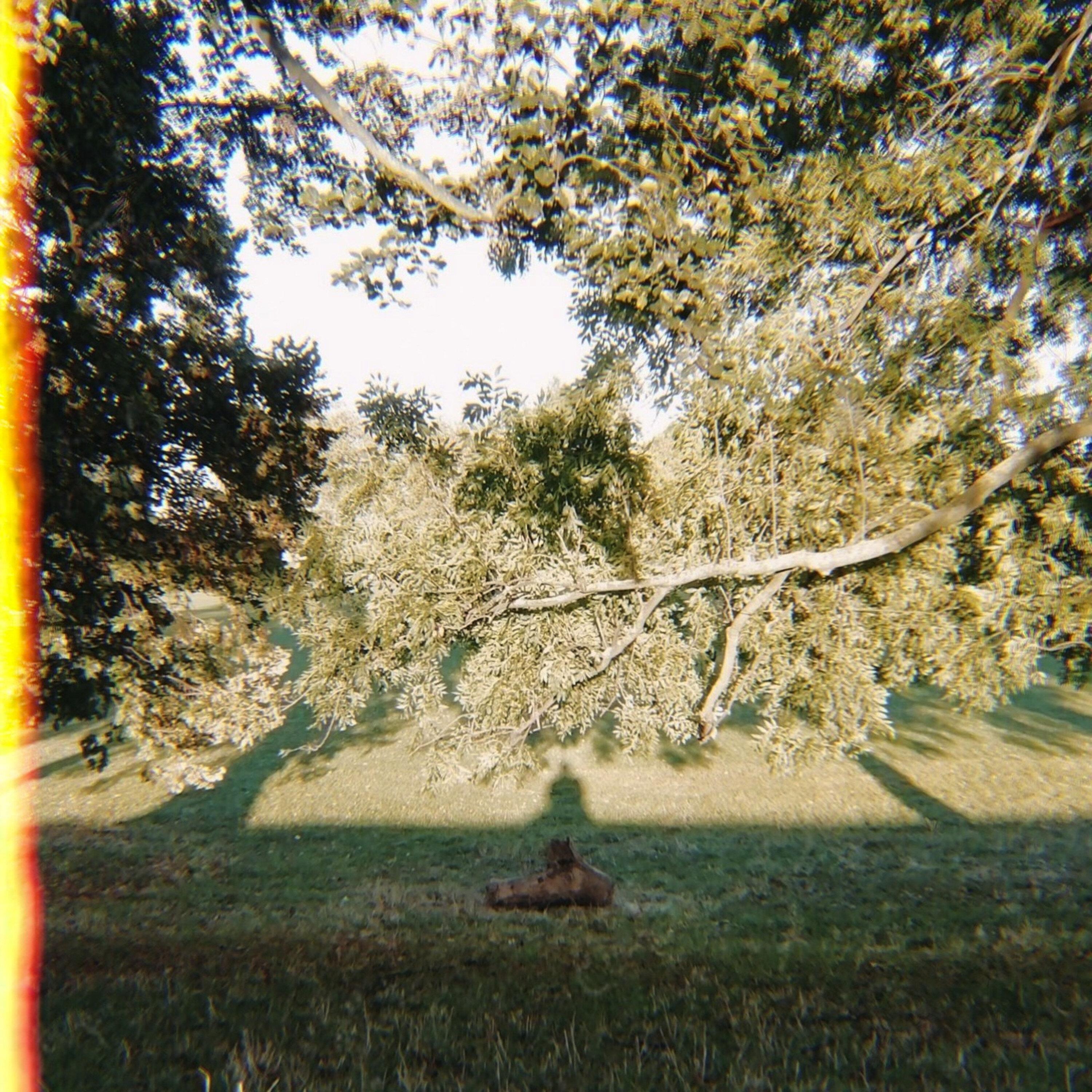 By the Grace of God, Somebody Loves Me