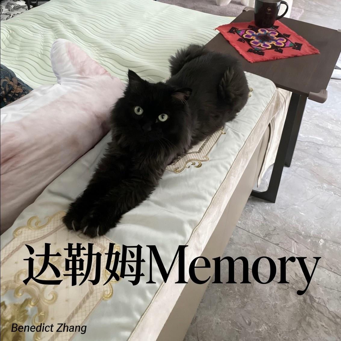 卡奔塔利亚湾敷衍封面