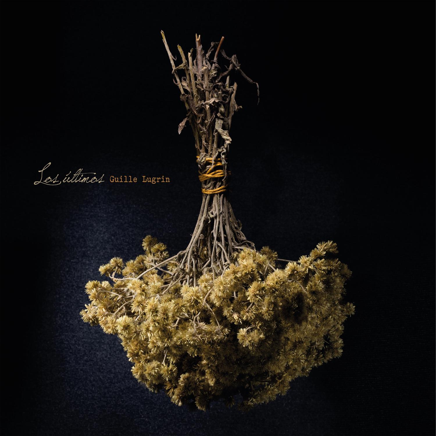 9 Coplas y Media para Justificar Mi Verso