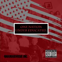 One Nation Under Educated