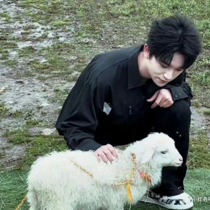 山有木兮-冰淇淋