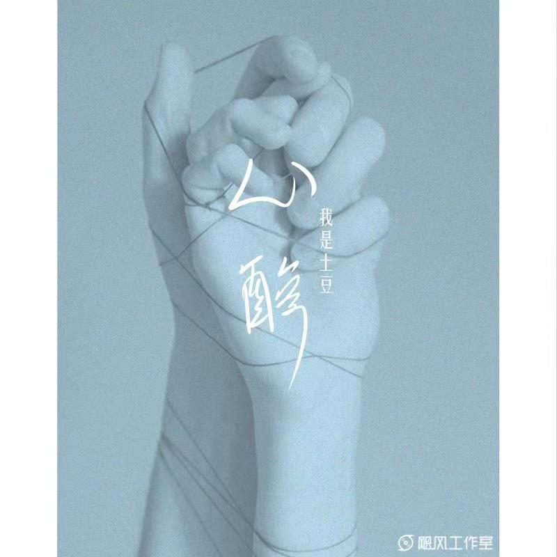 心酸封面