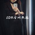 灰色轨迹 (DJ版) - DJ可可封面