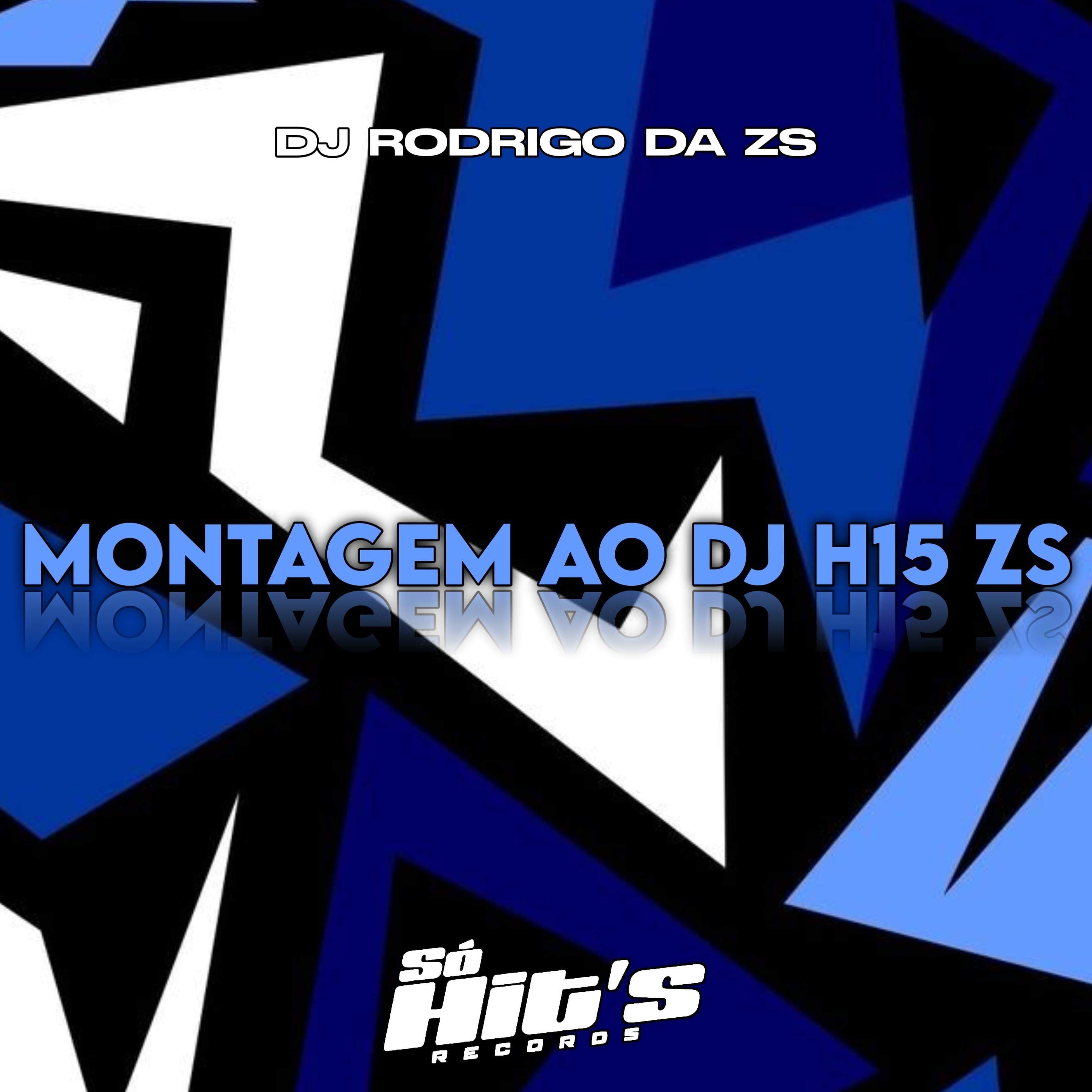 Montagem ao DJ H15 ZS