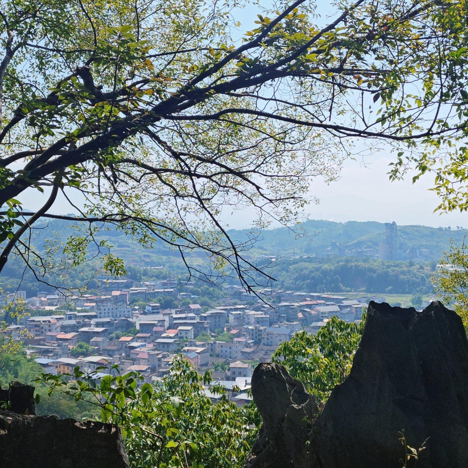 燕麦威化小饼干