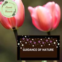 Guidance of Nature