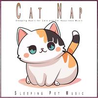 Cat Nap: Sleeping Music for Cats and Cat Happiness Music