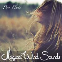 Magical Wind Sounds