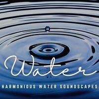 Riverside Rhapsodies: Harmonious Water Soundscapes