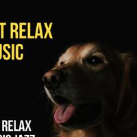 Pet Relax Music