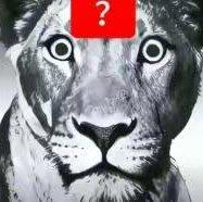 听完不笑的这辈子有了