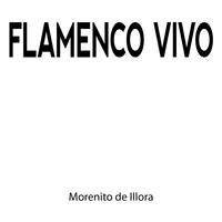 Flamenco Vivo