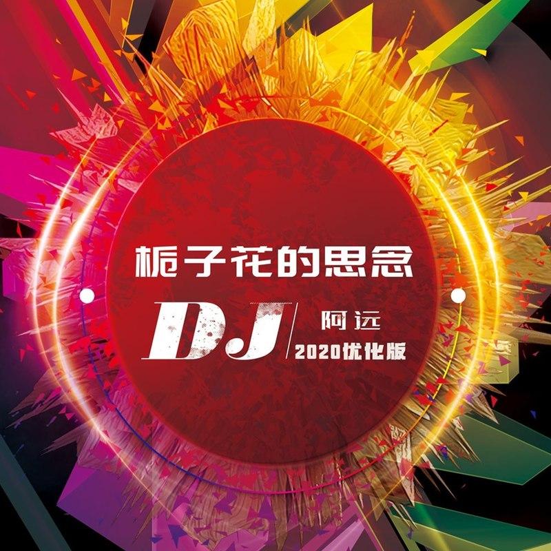 栀子花的思念(DJ版)封面