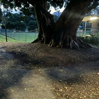 岔路