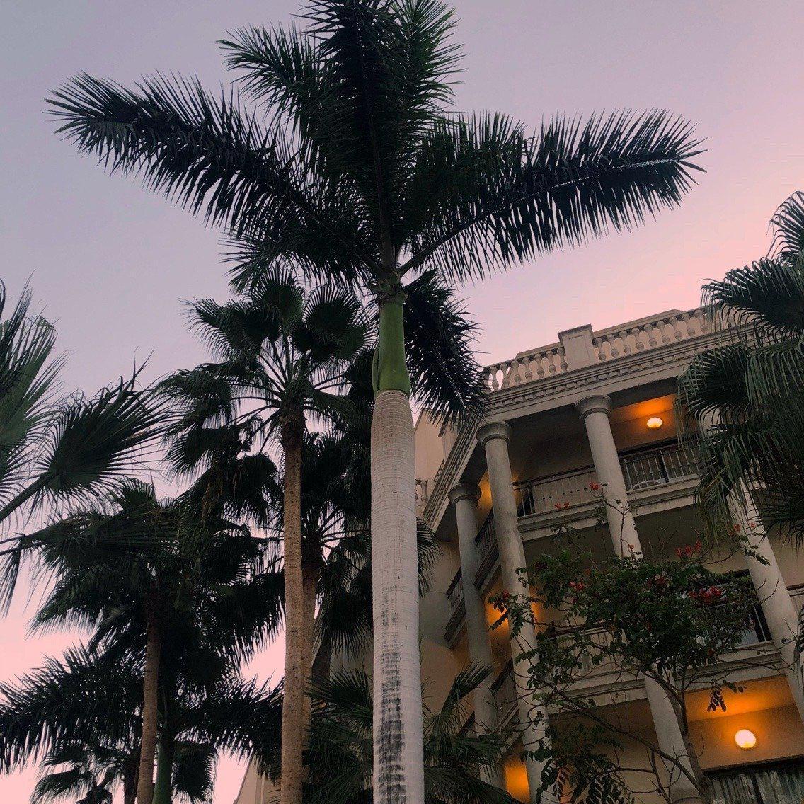 Oscar Nimoy- kkgm『抖音热曲』（AH.啊黑 r